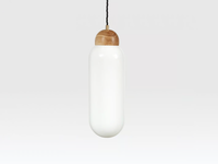 WHITTINGTON-Pendant-lamp-Liqui-Contracts-420603-relcbc4b0d7.jpg thumb image